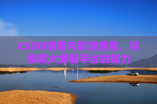 CSDN博客与新浪博客，探索两大博客平台的魅力